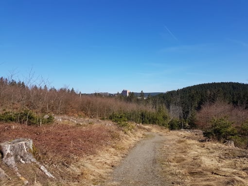 Entdecken auf Pfaden im Oberharz