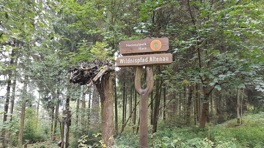 Wildnispfad