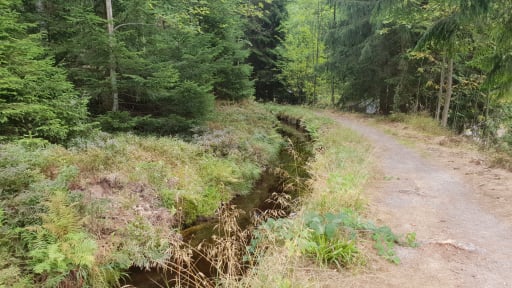 Verlauf vom Wasserregal