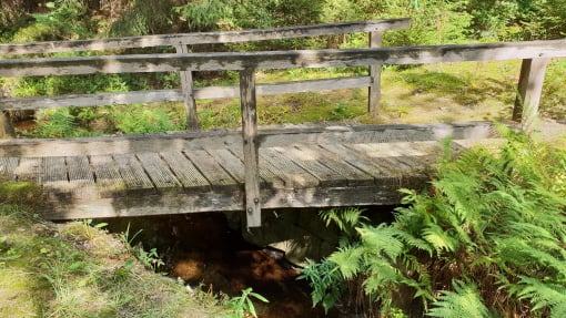 Wundervolle Wanderwege durch die Oberharzer Wälder