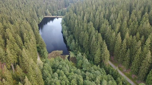 See in der Nähe von Altenau